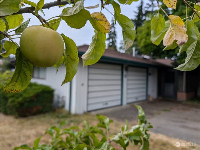 Lead image for 4102 49th Ave NE Tacoma